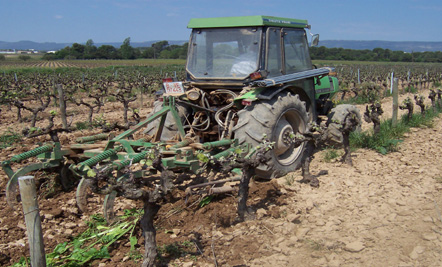 Tractor in the vinyard