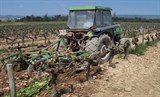 Tractor in the vinyard