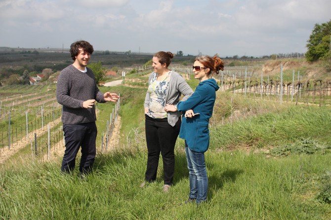 Josef Victoria And Anna In Mantlerhof Vineyard