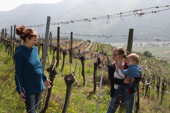 Maria And Anna In Terassed Vinyard