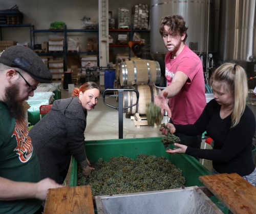 Sorting grapes noita